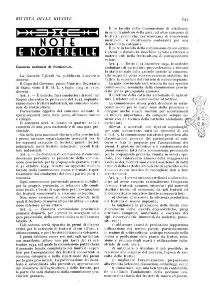 Minerva rassegna internazionale