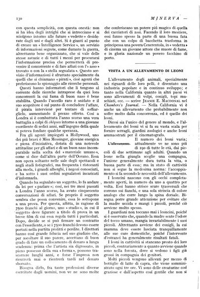 Minerva rassegna internazionale