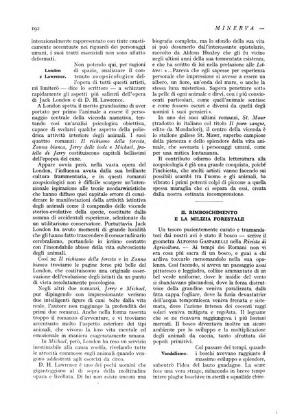 Minerva rassegna internazionale