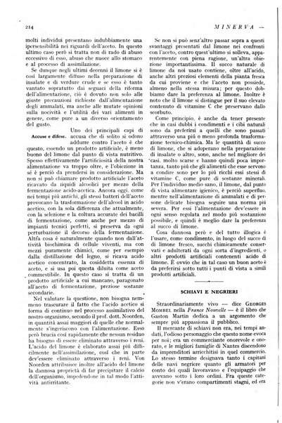 Minerva rassegna internazionale