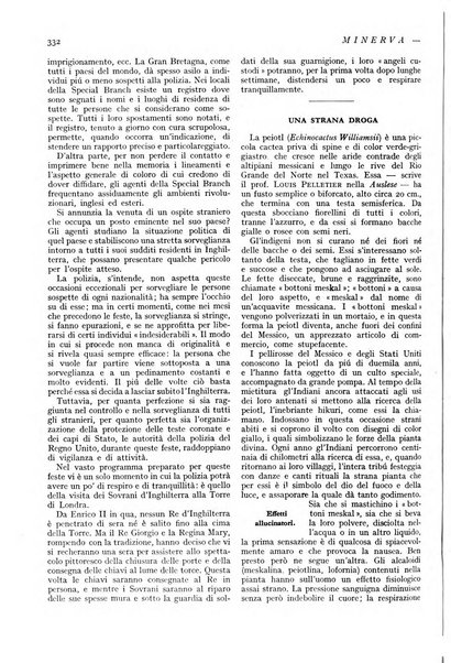 Minerva rassegna internazionale