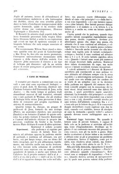 Minerva rassegna internazionale