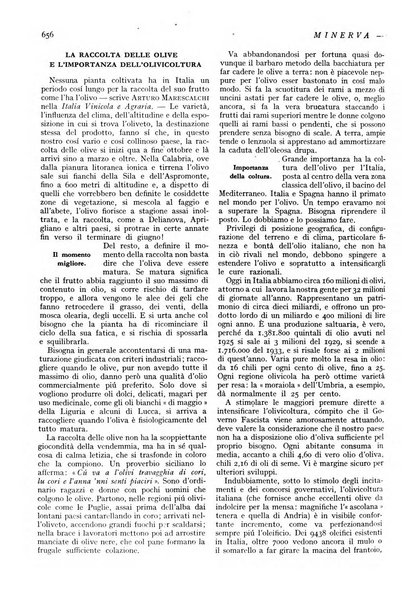 Minerva rassegna internazionale