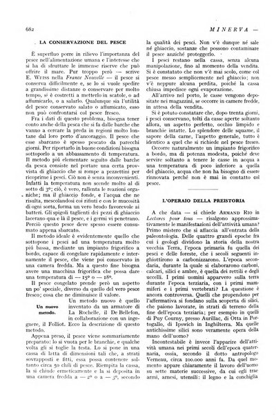 Minerva rassegna internazionale