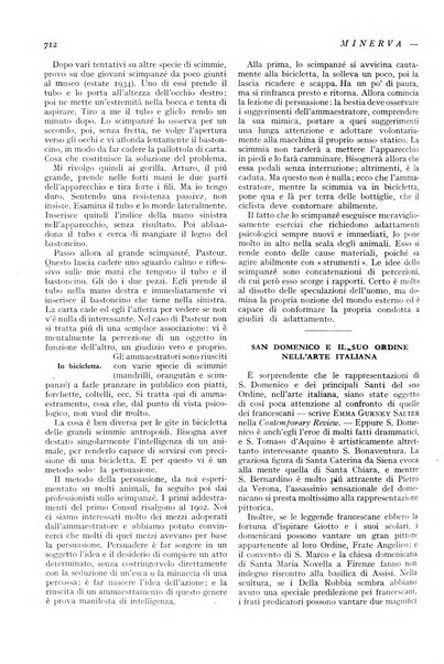 Minerva rassegna internazionale