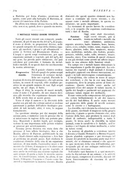 Minerva rassegna internazionale