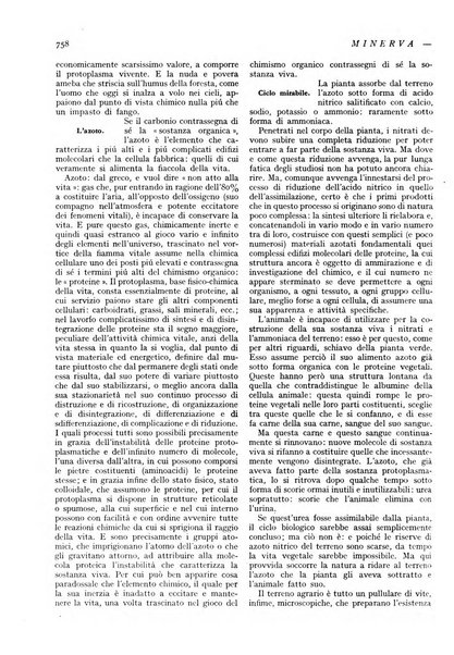 Minerva rassegna internazionale