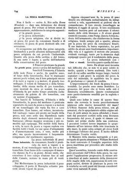 Minerva rassegna internazionale