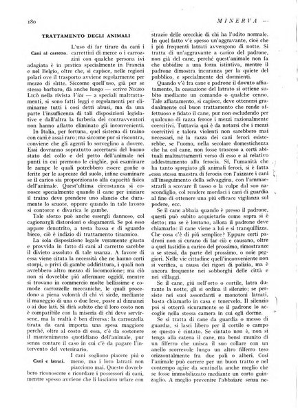 Minerva rassegna internazionale