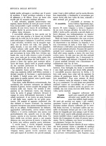 Minerva rassegna internazionale