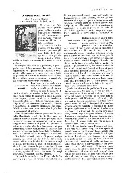 Minerva rassegna internazionale