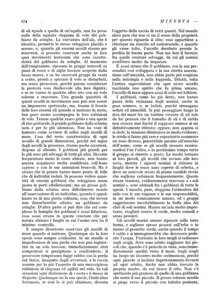 Minerva rassegna internazionale