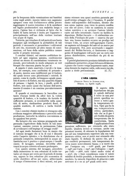 Minerva rassegna internazionale