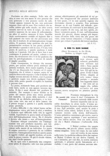 Minerva rassegna internazionale