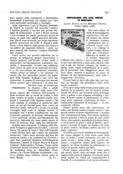 Minerva rassegna internazionale