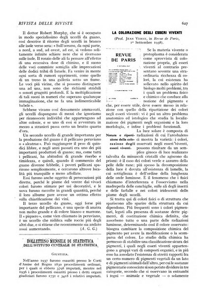 Minerva rassegna internazionale