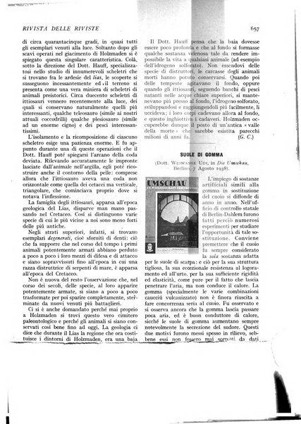 Minerva rassegna internazionale