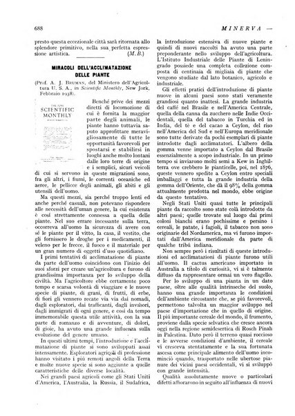 Minerva rassegna internazionale