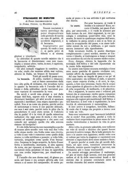 Minerva rassegna internazionale