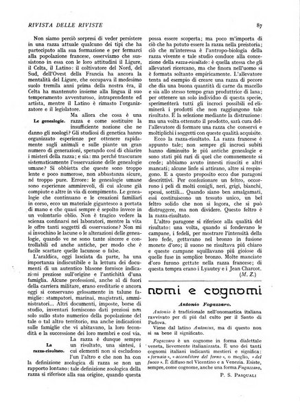 Minerva rassegna internazionale