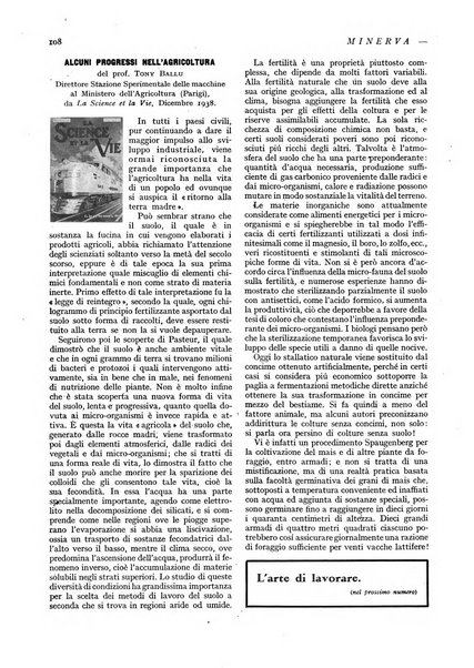 Minerva rassegna internazionale