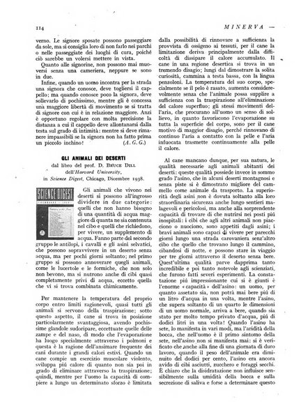 Minerva rassegna internazionale