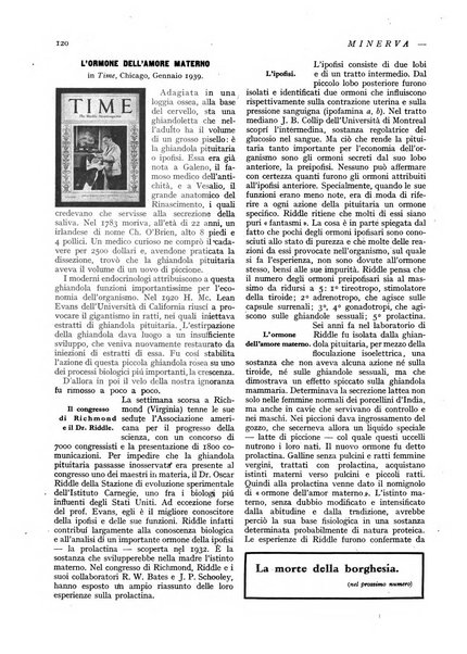 Minerva rassegna internazionale