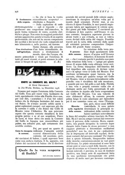 Minerva rassegna internazionale