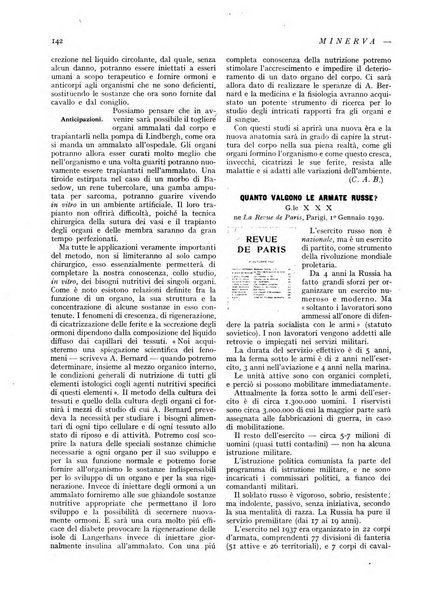 Minerva rassegna internazionale