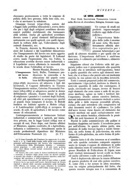 Minerva rassegna internazionale