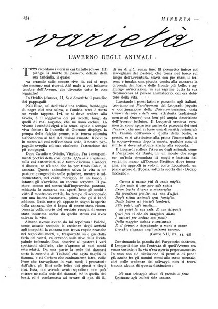 Minerva rassegna internazionale