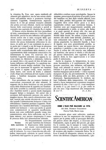 Minerva rassegna internazionale