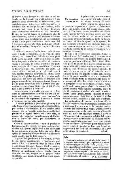 Minerva rassegna internazionale