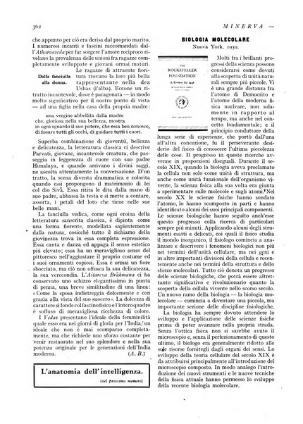 Minerva rassegna internazionale