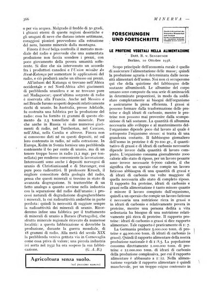 Minerva rassegna internazionale