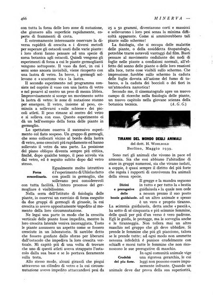 Minerva rassegna internazionale