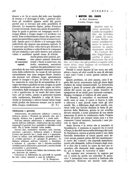 Minerva rassegna internazionale