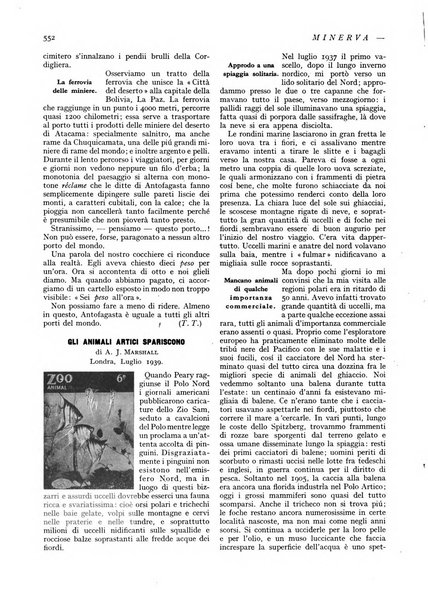 Minerva rassegna internazionale