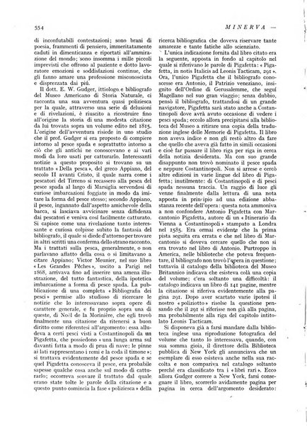 Minerva rassegna internazionale