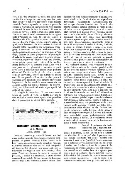 Minerva rassegna internazionale