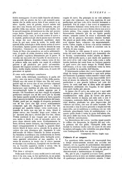 Minerva rassegna internazionale