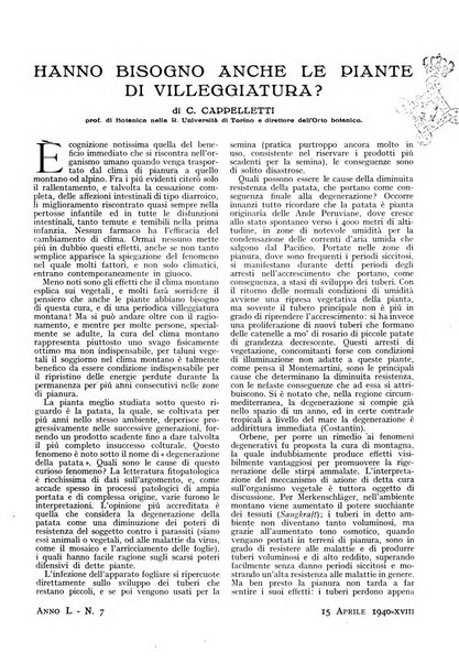 Minerva rassegna internazionale