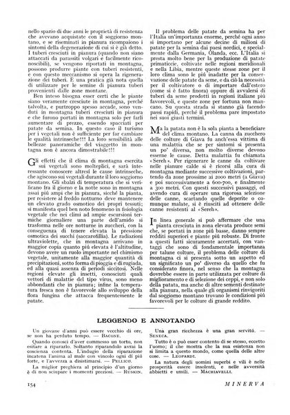 Minerva rassegna internazionale