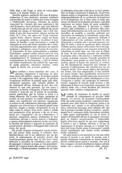 Minerva rassegna internazionale