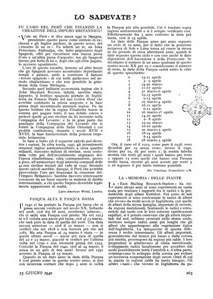 Minerva rassegna internazionale