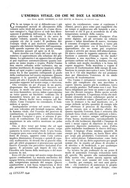 Minerva rassegna internazionale