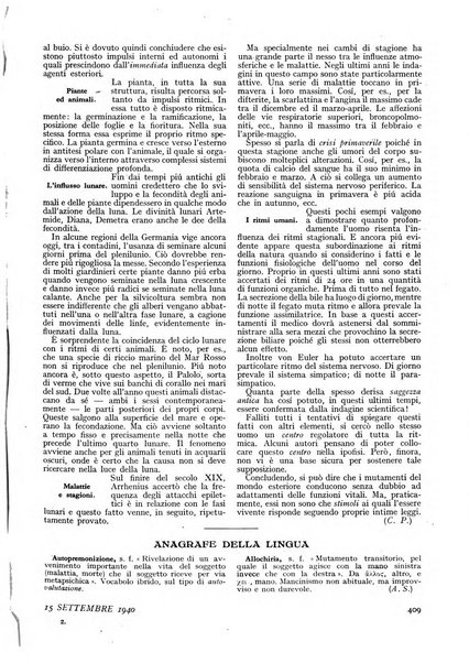 Minerva rassegna internazionale