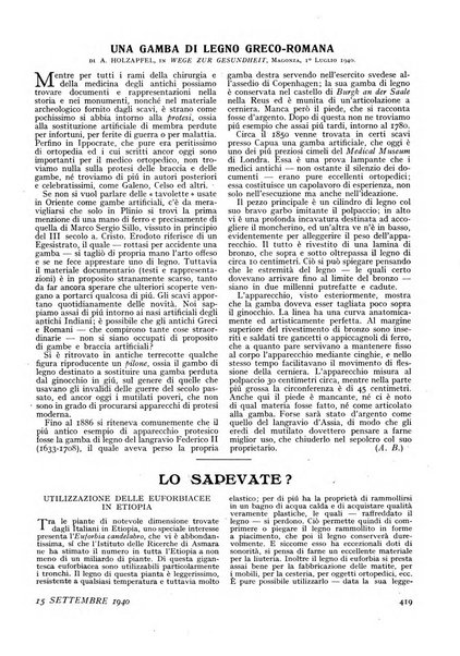 Minerva rassegna internazionale