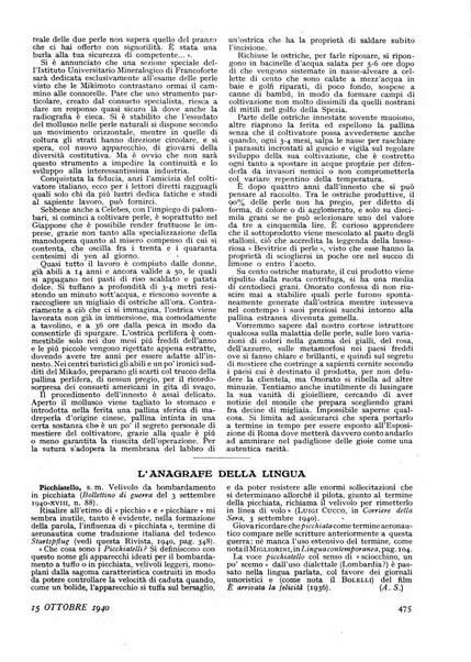 Minerva rassegna internazionale