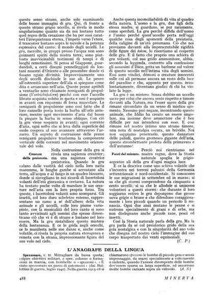 Minerva rassegna internazionale